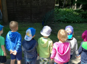 Wycieczka do ZOO