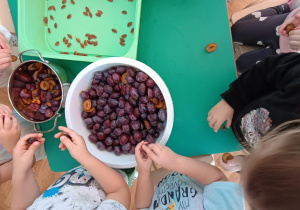 Dzieci wyjmują pestki z przekrojonych śliwek.