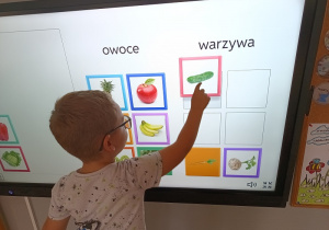 Chłopiec wykonuje zadanie na tablicy multimedialnej: dopasowuje obrazek ogórka do odpowiedniej kategorii – warzyw.