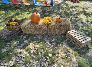 Piknik Rodzinny - Nie tylko Ziemniak