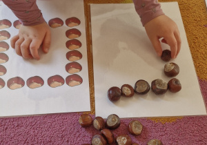 Dziecko z kasztanów układa kwadrat według wzoru.