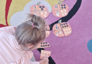 Dziewczynka układa na dywanie kolejną część dyni.