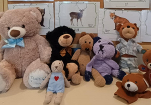 Na półce ułożone pluszowe misie.