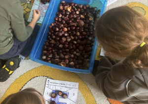 Dzieci układają kasztany na karcie z literą E.