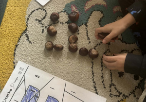 Dziecko układa literę E z kasztanów.