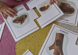 Dziecko dobiera sylwetę jeża do miejsca, w którym zimuje.