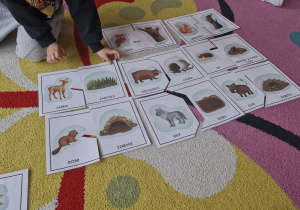 Dzieci na dywanie dobierają zwierzęta do miejsc, w których mieszkają.