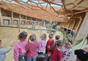 Dzieci obserwują słonie podczas wizyty w Orientarium.