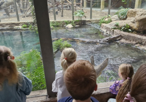 Dzieci obserwują krokodyla.