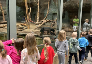 Dzieci obserwują zwierzęta w Orientarium.