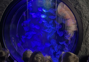 Dzieci patrzą na meduzy.
