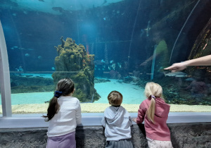 Dzieci patrzą na ryby w Orientarium.