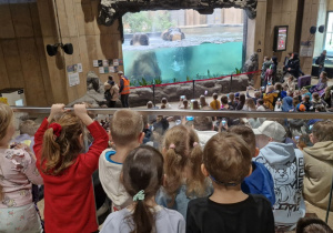 Dzieci obserwują kąpiel słoni.