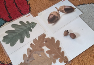 Dzieci dopasowują dary jesieni do odpowiednich liści.