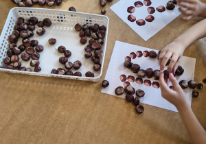 Dzieci układają cyfry z kasztanów na wzorach.