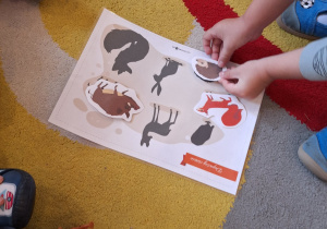 Dzieci dopasowują sylwety zwierząt do ich cieni.