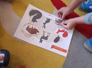 Jesienne aktywności