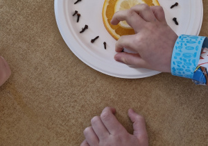 Dziecko na papierowym talerzyku układa kompozycję z pomarańczy i goździków.