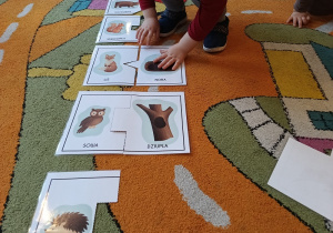 Dziecko dopasowuje obrazek legowiska do odpowiedniego zwierzątka.