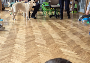 Funkcjonariusze Straży Miejskiej z psem w przedszkolu.