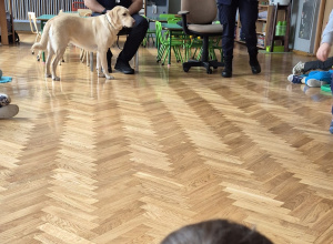 Wizyta Straży Miejskiej z pieskiem