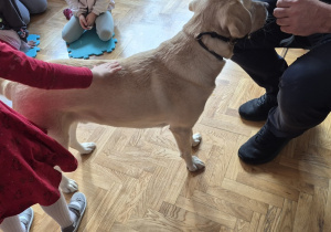 Dziewczynka obok psa.