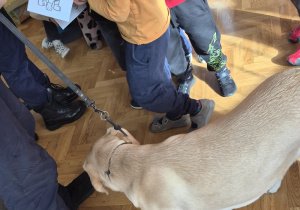 Dzieci dostają kolorowanki od Straży Miejskiej.