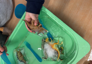 Dziecko trzyma nad zielonym pojemnikiem figurkę zamrożonego dinozaura.