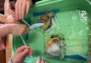 W zielonym pojemniku woda, a w niej zamrożone figurki dinozaurow , dzieci z pipetami.