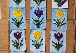 Prace dzieci wywieszone na tablicy - krokusy wyklejone żółtymi i fioletowymi kuleczkami z bibuły.