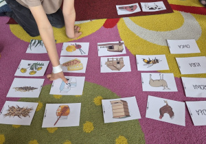 Chłopiec wybiera mleko spośród obrazków ułożonych na dywanie, aby położyć je obok krowy.