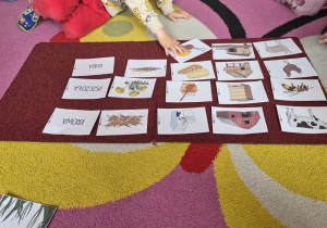 Dziecko kładzie obrazek przedstawiający wełnę obok owcy.