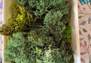 Na stoliku w pojemniku mech.