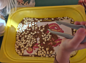 Śladami dinozaurów