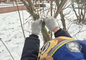 Dziecko zawiesza szyszke z nasionami na gałęzi.