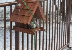 W karmniku znajdują się szyszki wypełnione nasionami z smalcem, które przygotowały dzieci.