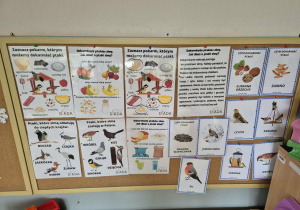 Kodeks dokarmiania ptaków.