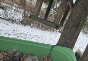 Dzieci wkładają nasiona do karmnika w ogrodzie przedszkolnym.