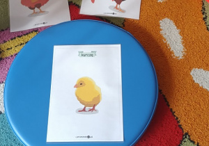 Dzieci patrzą na obrazki koguta, kury oraz kurczęcia.