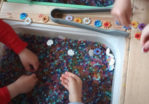 Dzieci wyciągają rączkami lub szczypcami kolorowe kwiatki z kulek hydrożelowych.