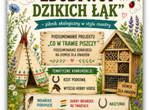 Zapraszamy na piknik w stylu country