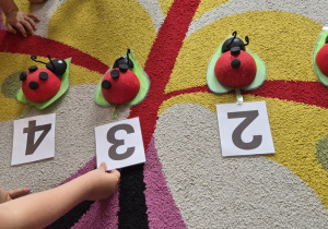 Dziecko kładzie kartonik z cyfrą 3 przy styropianowej biedronce z trzema kropkami.