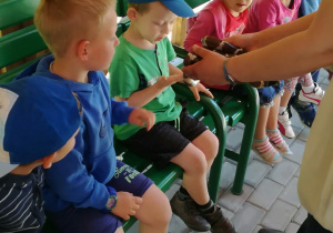 Dzieci oglądają węża, a jeden z chłopców głaszcze go.
