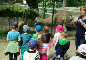 Dzieci słuchają prelekcji pani pracującej z Zoo, w tle widać zwierzęta.