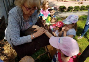 Pracownik Zoo pokazuje dzieciom jeża z bliska. Dziewczynka głaszcze jeż.