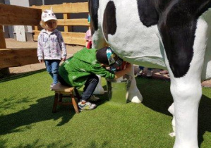 Dzieci uczą się jak doi się krowę na „sztucznej krowie”.