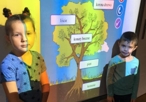Dziewczyna i chłopiec prezentują elementy drzewa na tablicy multimedialnej.