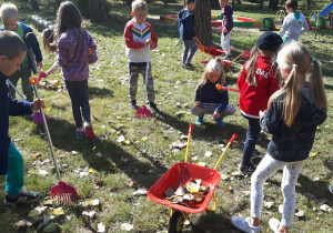 Dzieci grabią liście i zbierają je na taczkę.