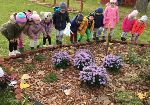 Dzieci oglądają kwiaty rosnące w ogrodzie przedszkolnym.