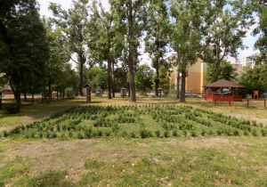 Na zdjęciu widać wyposażenie ogrodu: labirynt z bukszpanu i altanę.